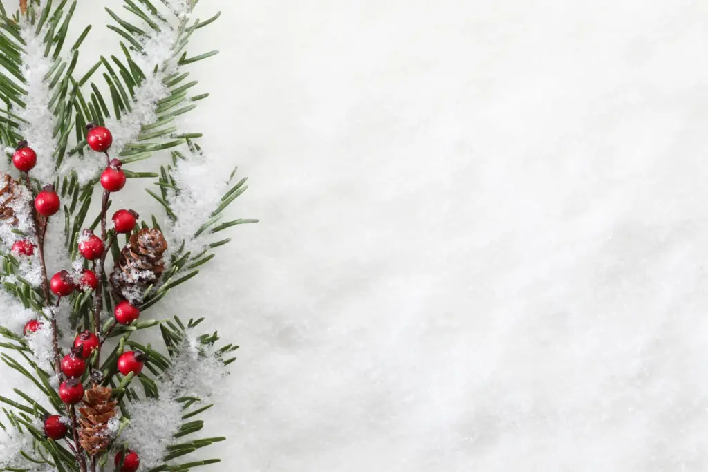 Snow-dusted pine branch with red berries and pine cones