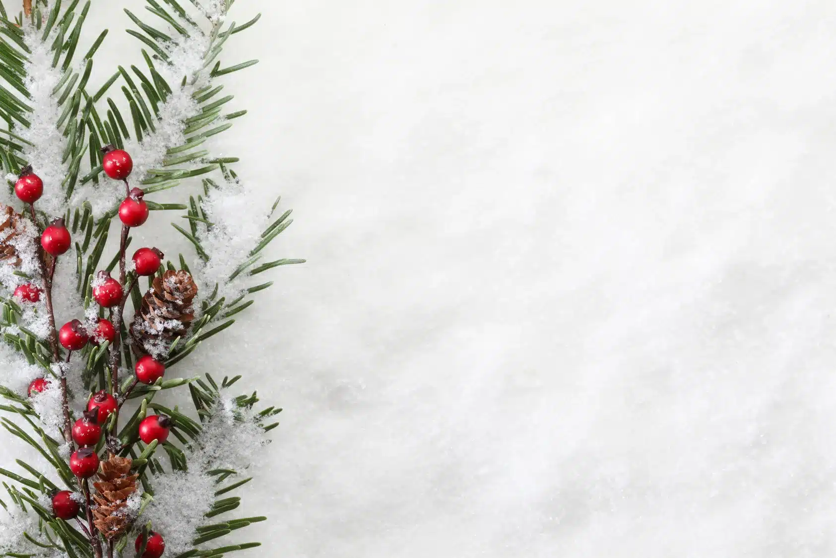 Snow-dusted pine branch with red berries and pine cones